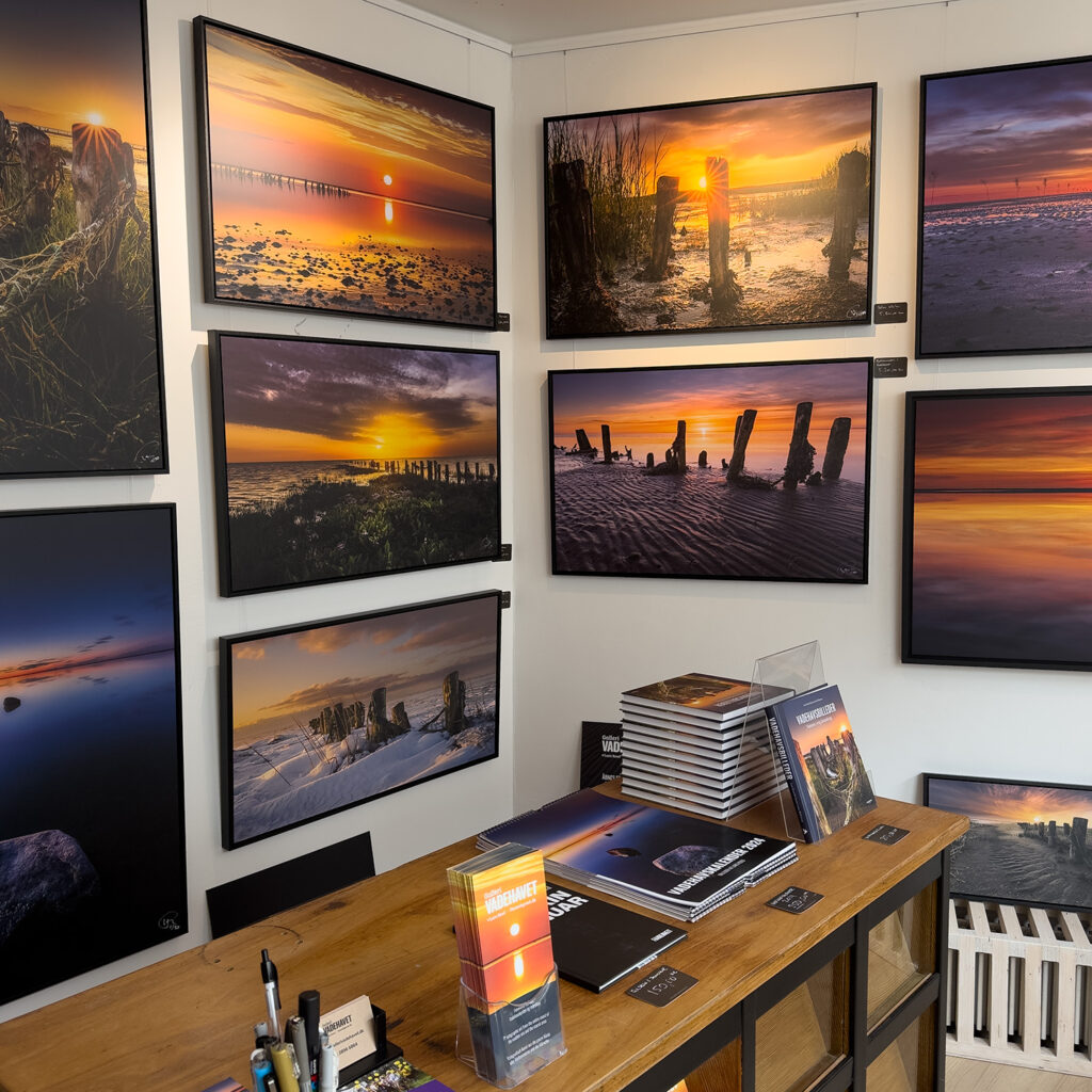 Galleri Vadehavet